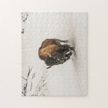 Bison Plodding Through Snow - 252-stuk