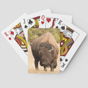Bison Pokerkaarten