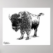Bison Poster (Voorkant)
