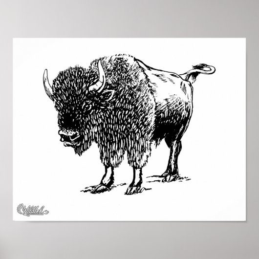 Bison Poster (Voorkant)