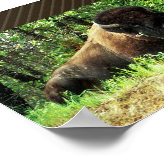 Bison Poster (Hoek)