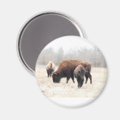 Bison Prairie Magnet (Voorkant / Achterkant)