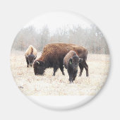 Bison Prairie Magnet (Voorkant)