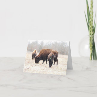 Bison Prairie Note Kaart