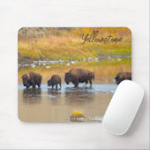 Bison River Crossing Yellowstone National Park, Ve Muismat (Met muis)