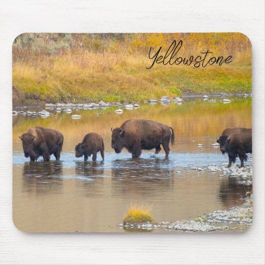 Bison River Crossing Yellowstone National Park, Ve Muismat (Voorkant)