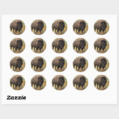 Bison Ronde Sticker (Vel)
