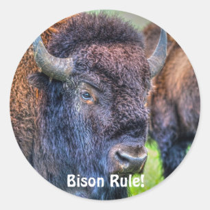 Bison Rule! Stickers met buffelbekleding