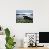 Bison rusteert met de geelsteen, met sneeuw poster (Thuiskantoor)