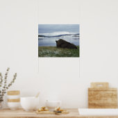 Bison rusteert met de geelsteen, met sneeuw poster (Keuken)