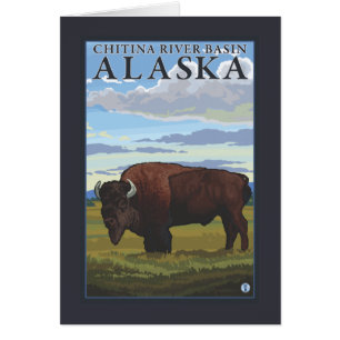 Bison Scene - Chitina River Basin, Alaska
