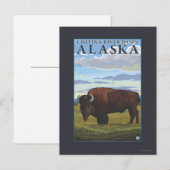 Bison Scene - Chitina River Basin, Alaska Briefkaart (Voorkant / Achterkant)