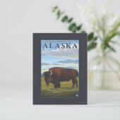 Bison Scene - Chitina River Basin, Alaska Briefkaart (Staand voorkant)