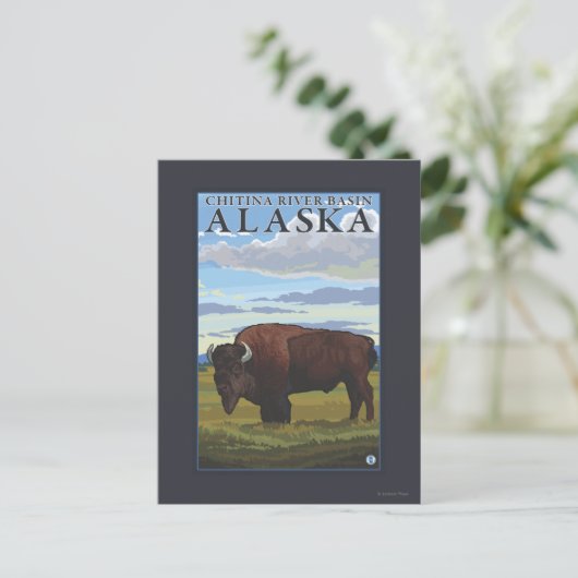 Bison Scene - Chitina River Basin, Alaska Briefkaart (Staand voorkant)