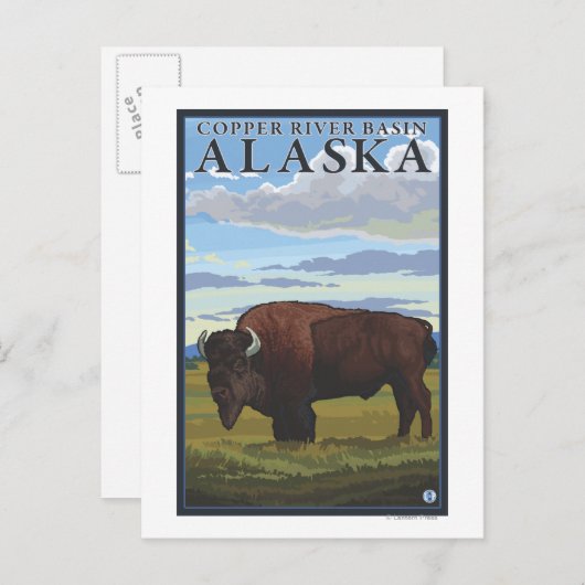 Bison Scene - Copper River Basin, Alaska Briefkaart (Voorkant / Achterkant)