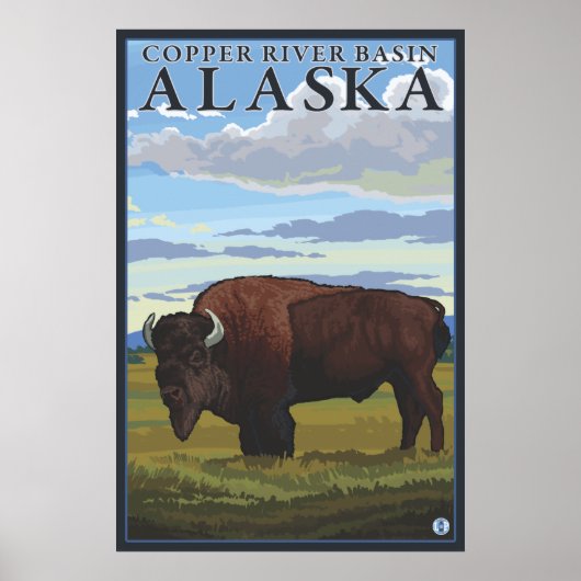 Bison Scene - Copper River Basin, Alaska Poster (Voorkant)