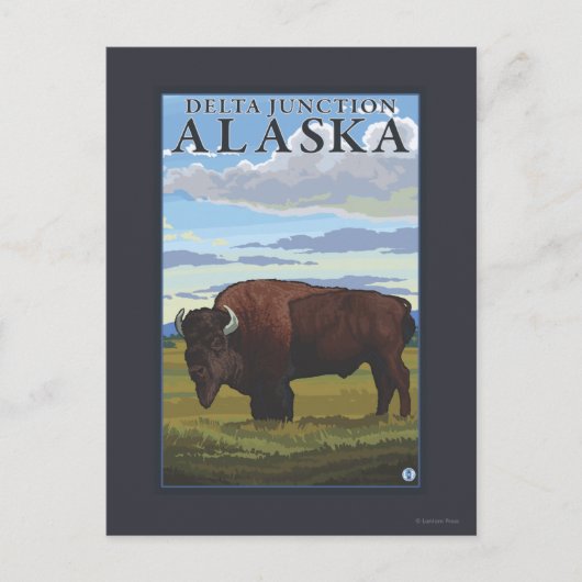 Bison Scene - Delta Junction, Alaska Briefkaart (Voorkant)