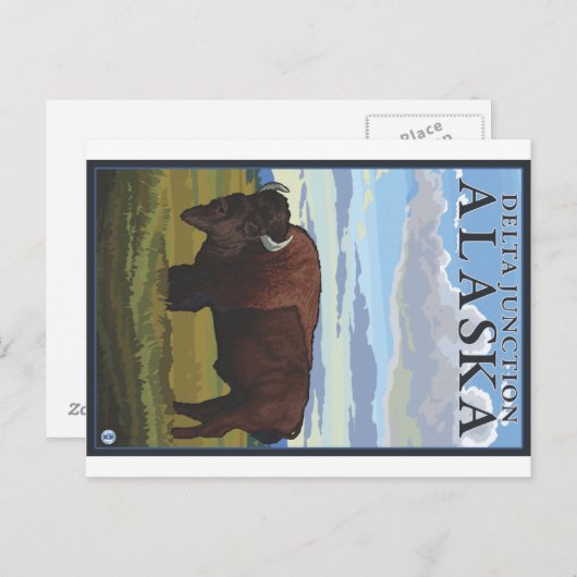 Bison Scene - Delta Junction, Alaska Briefkaart (Voorkant / Achterkant)