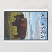 Bison Scene - Delta Junction, Alaska Briefkaart (Voorkant)