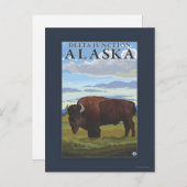 Bison Scene - Delta Junction, Alaska Briefkaart (Voorkant / Achterkant)