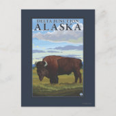 Bison Scene - Delta Junction, Alaska Briefkaart (Voorkant)