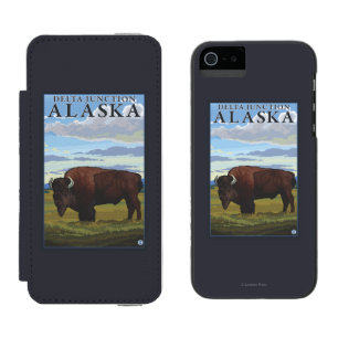 Bison Scene - Delta Junction, Alaska