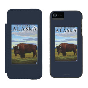 Bison Scene - Delta Junction, Alaska
