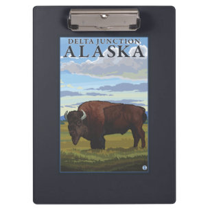 Bison Scene - Delta Junction, Alaska Klembord