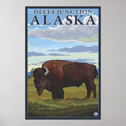 Bison Scene - Delta Junction, Alaska Poster (Voorkant)