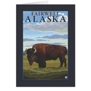 Bison Scene - Fairwell, Alaska