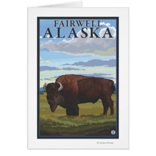 Bison Scene - Fairwell, Alaska