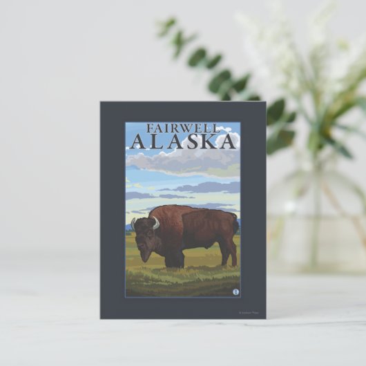 Bison Scene - Fairwell, Alaska Briefkaart (Staand voorkant)
