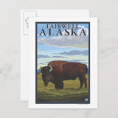 Bison Scene - Fairwell, Alaska Briefkaart (Voorkant / Achterkant)