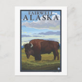 Bison Scene - Fairwell, Alaska Briefkaart (Voorkant)
