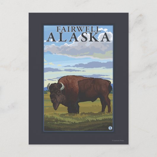 Bison Scene - Fairwell, Alaska Briefkaart (Voorkant)