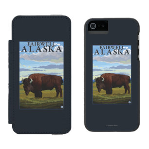 Bison Scene - Fairwell, Alaska