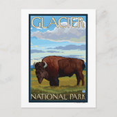 Bison Scene - Glacier National Park, MT Briefkaart (Voorkant)