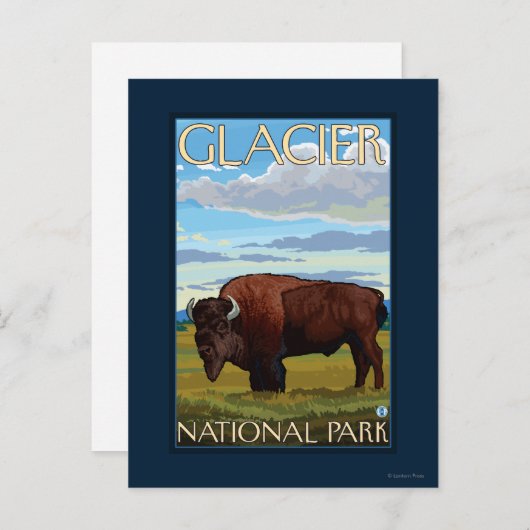 Bison Scene - Glacier National Park, MT Briefkaart (Voorkant / Achterkant)