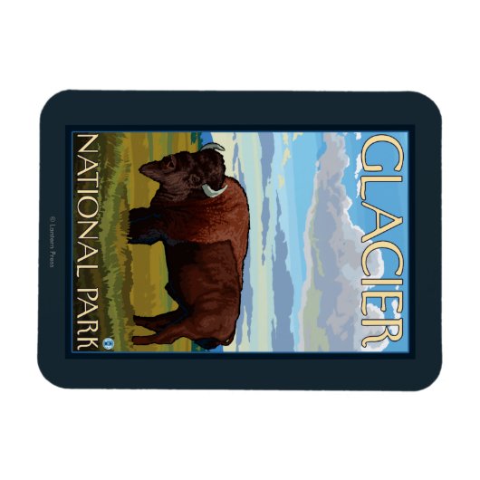Bison Scene - Glacier National Park, MT Magneet (Horizontaal)