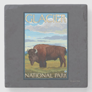 Bison Scene - Glacier National Park, MT Stenen Onderzetter