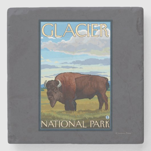 Bison Scene - Glacier National Park, MT Stenen Onderzetter (Voorkant)