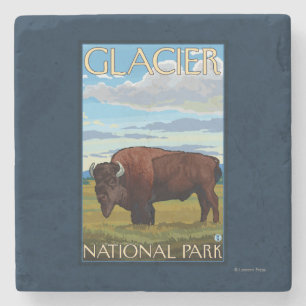 Bison Scene - Glacier National Park, MT Stenen Onderzetter