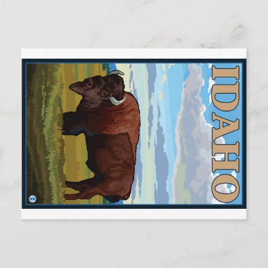 Bison Scene - Idaho Briefkaart (Voorkant)