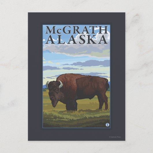 Bison Scene - McGrath, Alaska Briefkaart (Voorkant)