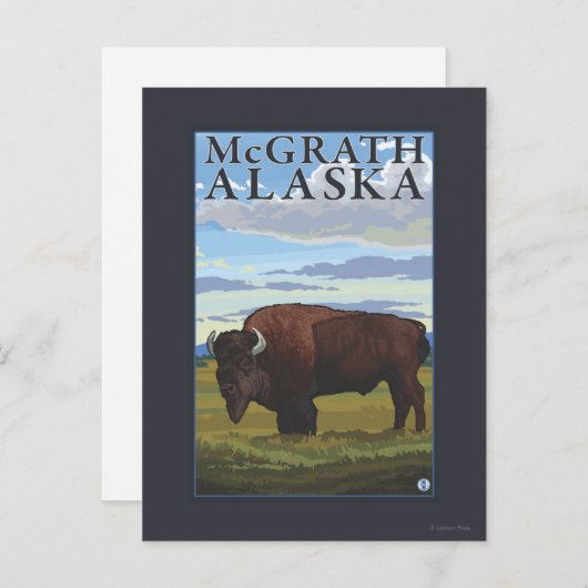 Bison Scene - McGrath, Alaska Briefkaart (Voorkant / Achterkant)