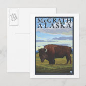 Bison Scene - McGrath, Alaska Briefkaart (Voorkant / Achterkant)