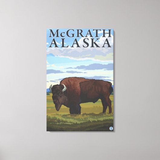 Bison Scene - McGrath, Alaska Canvas Afdruk (Voorkant)