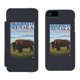 Bison Scene - McGrath, Alaska