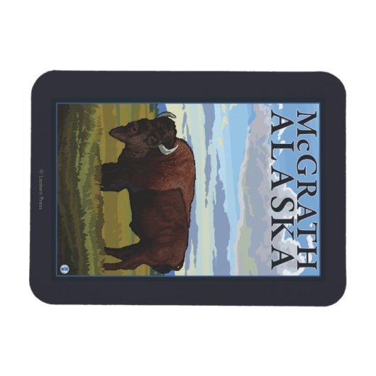 Bison Scene - McGrath, Alaska Magneet (Horizontaal)