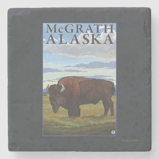 Bison Scene - McGrath, Alaska Stenen Onderzetter (Voorkant)